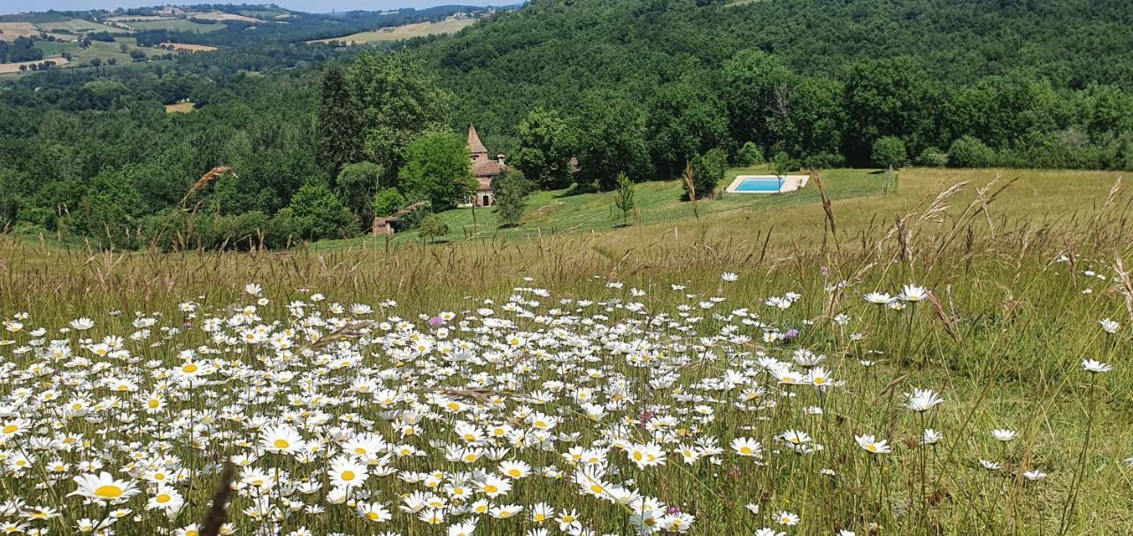 Maison d'hôtes Château Labistoul 3*
