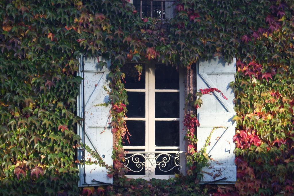 Maison d'hôtes Château Labistoul 3*