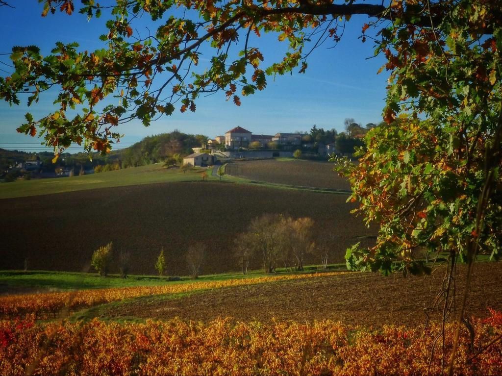 Maison d'hôtes Château Labistoul