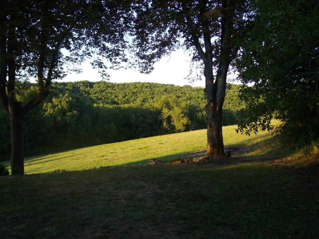 Château Labistoul 3* Campes