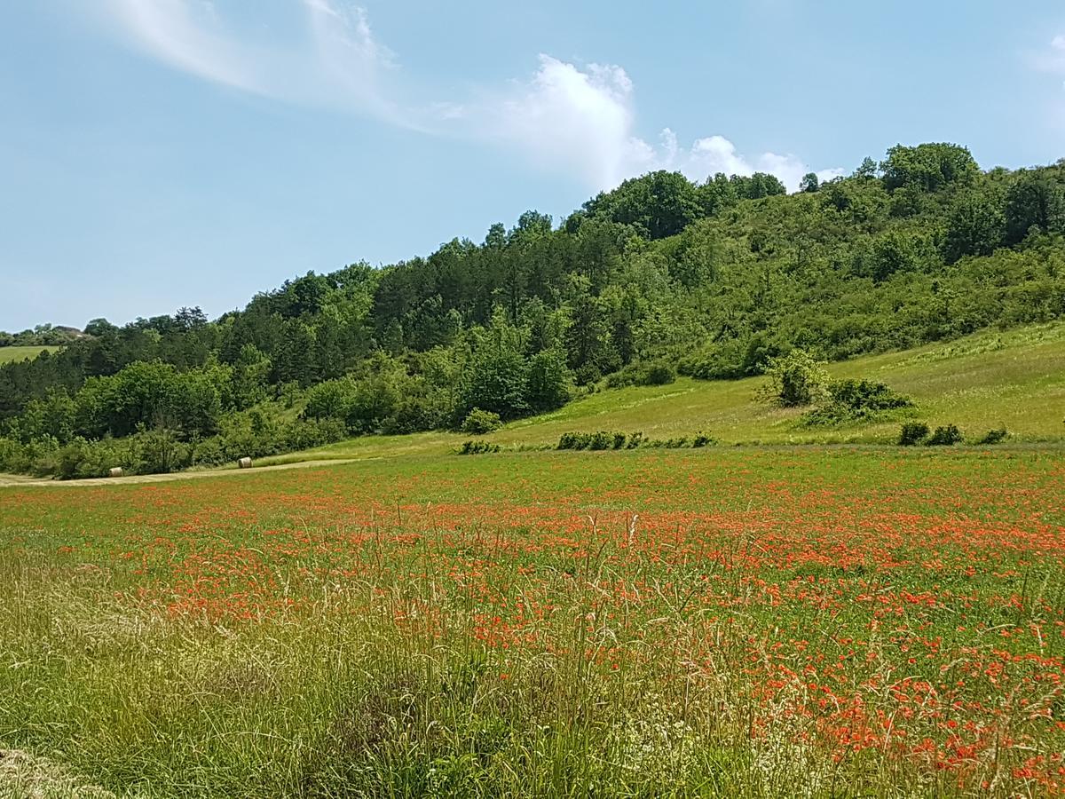 Château Labistoul 3*